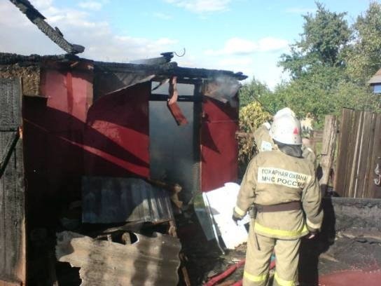 Пожар в Панинском районе